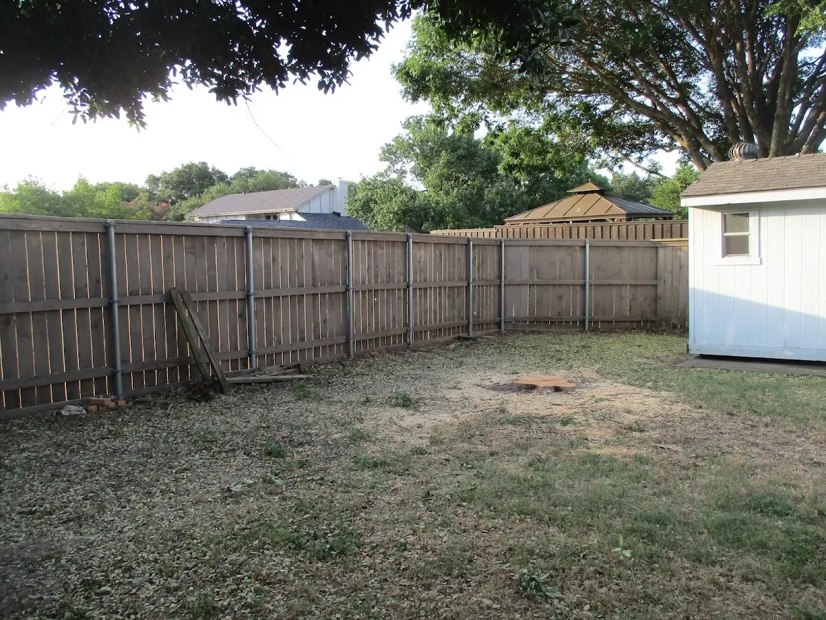Cleared yard after professional tree removal in Saint Paris