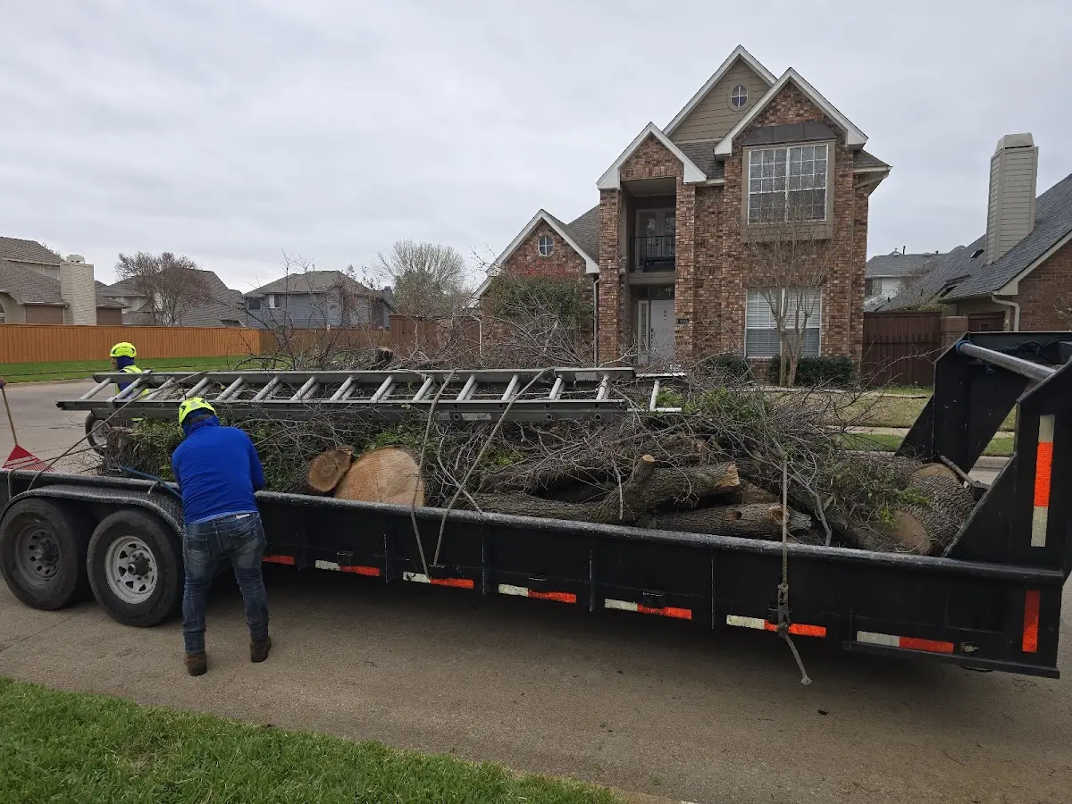 Expert Tree Removal with proper safety equipment in Saint Paris